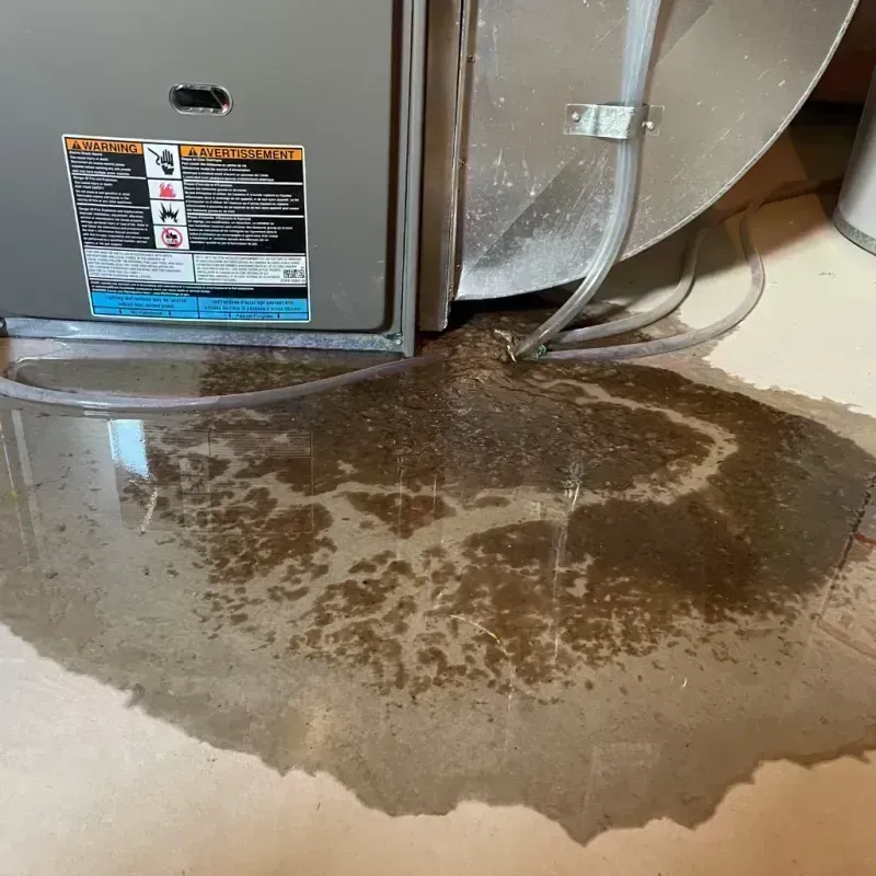 Appliance Leak Cleanup in Irvine, KY